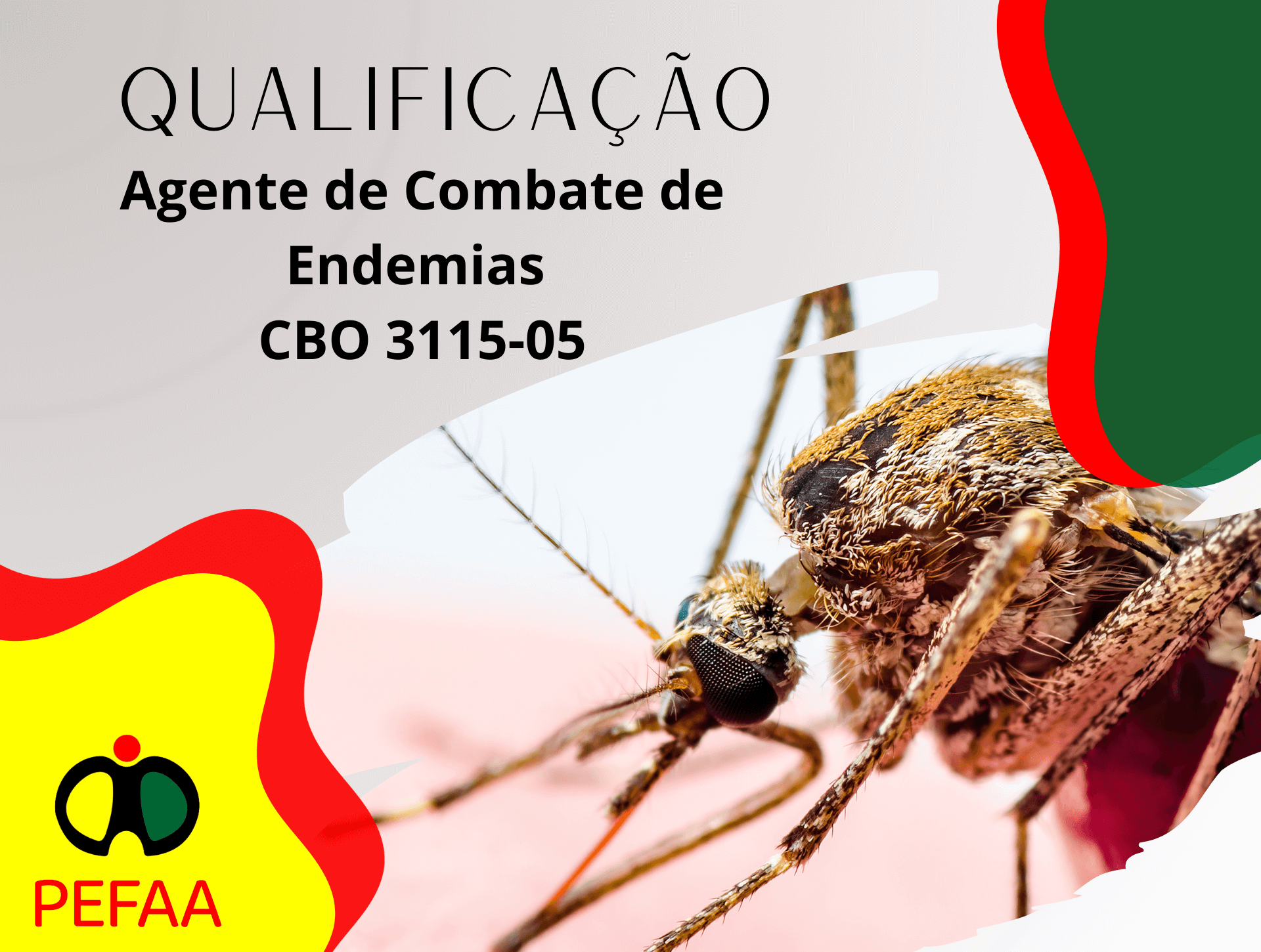 Agente de Combate de Endemias - CBO 3115-05