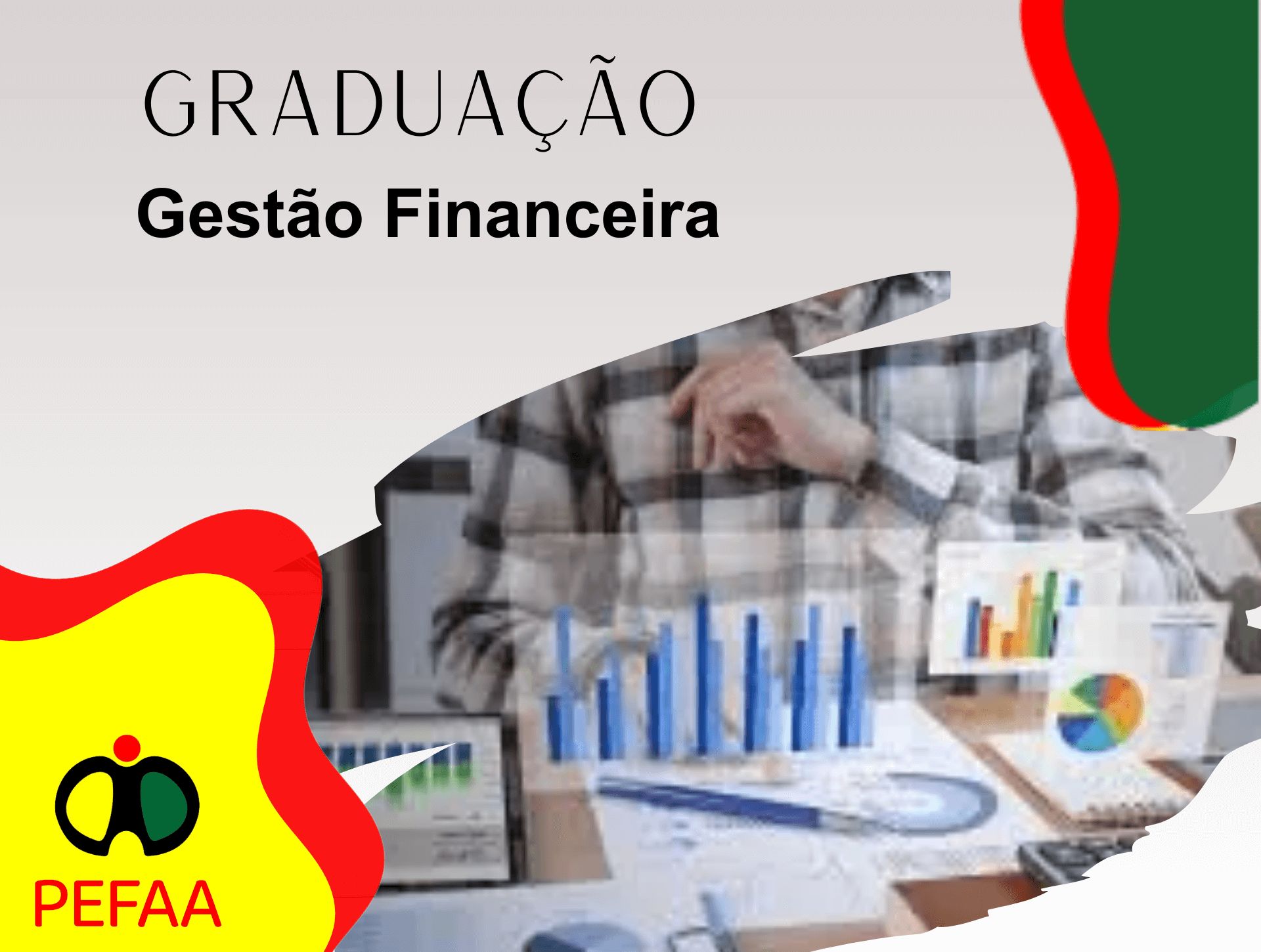 Gest�o Financeira